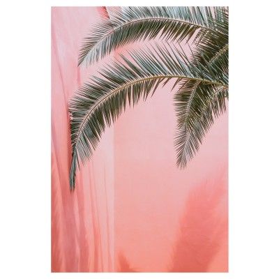 Palm op roze poster David David Studio