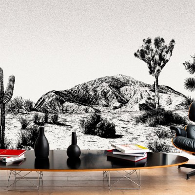 Papier peint panorama Arizona noir & blanc - Edito Paris
