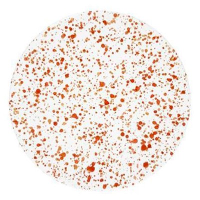 Assiette Granito nude marsala - Chabi Chic